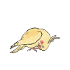 Cadeaux de calopsitte