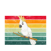 Cockatiel Gifts
