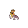 Cadeaux de calopsitte