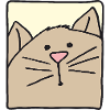 Cat Head Funny