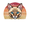 Siamese Cat, Siamese Cat