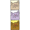 katze dreifach bunt
