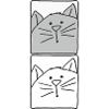 Cat Grey and White