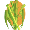 Bamboo Botanical Burst