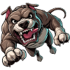 Pitbull attacks