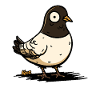 funny pigeon