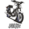 S51 (white) // Illustration