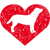 Golden Retriever Dog Heart