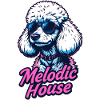 Melodic House Pudel