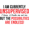 I Am Currently Unsupervised Possibilities Endless