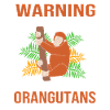 Orangutan