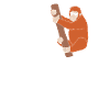 Orangutan