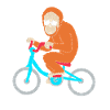 Orangutan