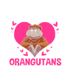 Orangutan