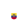 Ecuador Fans T-Shirt Design