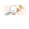 Cadeaux de calopsitte