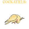 Cadeaux de calopsitte