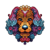 Poodle Dog Portrait Head