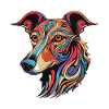 Greyhound Dog Portrait Head