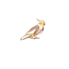 Cadeaux de calopsitte