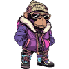 Monkey Funny Winter