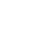 Professor