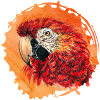 Papagei | macaw | parrot