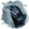 Rabe | raven