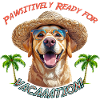 Labrador im Sommerlook: Pawsitively Ready