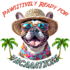 Bouledogue au look estival : Pawsitively Ready