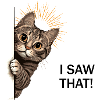 J’ai vu ce chat