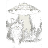 Funny Raccoon UFO
