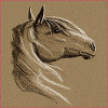 Horse Drawing