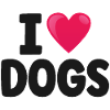 Chien