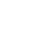Mechanic Future Mechanic