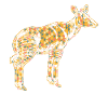 Okapi Geometric