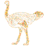Ostrich Geometric