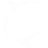 Hai Shark