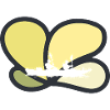 Kayak Canoë