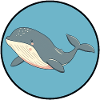 Whale under water