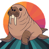 Walrus Animals Sea Creature