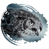 Uhu | eagle-owl