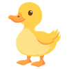 Oie de canard