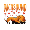 Teckel Chien Teckel maman