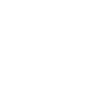 Majorque 2025 Palmier