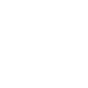 Cygne volant élégant