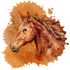 Cheval | Cheval