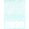Year 2030