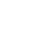 Legend 29