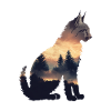 Luchs